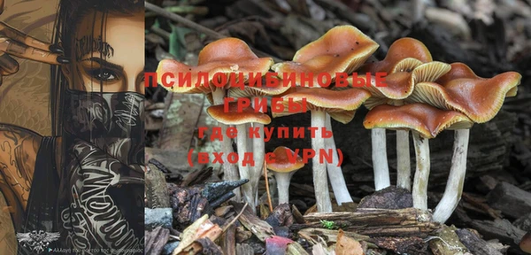 MDMA Арсеньев