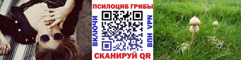 Галлюциногенные грибы MAGIC MUSHROOMS  Нюрба 